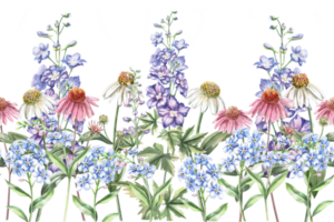 Seamless border with flowers of echinacea, forget-me-not and delphinium. Isolated watercolor illustration of bouquets for design of packaging of cosmetic products, candies, printing on clothes png