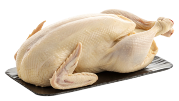 A raw goose lying like a sculpted clay figure, skin pale and smooth like wax, isolated on a transparent background. png