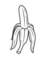 Banana line art of isolated on white vector