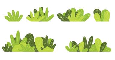 Hand drawn green bush tree set stock illustration vector