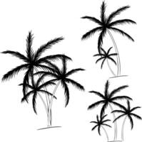 Set of Black palm trees hand drawn composition set. graphic line ink isolated. Palm silhouettes. Design of palm trees for posters, banners or promotional items. vector