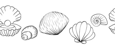 Seashell seamless Frame border. graphic line ink horizontal illustration of seashells. Hand drawn linear drawing on isolated background. Design for package, cosmetic, textile, cards. vector