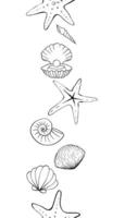 Seashell seamless Frame border. graphic line ink Vertical illustration of seashells. Hand drawn linear drawing on isolated background. Design for package, cosmetic, textile, cards. vector
