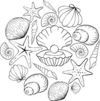 Sea shells scallops and stars circle round composition for logo. poster template in doodle sketchy style. Banner, poster, wrapping paper, sticker, print, modern textile design. vector