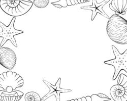 Seashells and starfish rectangle frame template for text. graphic line ink illustration. Marine illustration of the underwater world hand drawn in black ink graphically. vector