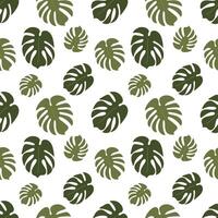 Seamless tropical pattern with green monstera leaves on white background. Repeating botanical texture. Minimal flat design for summer decor, wrapping, fabric or wallpaper. vector