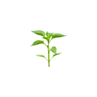 Fresh Green Plant Sprout Isolated on Transparent Background, Young Growth Symbolizing Nature, Ecology, Sustainability, and New Beginnings png