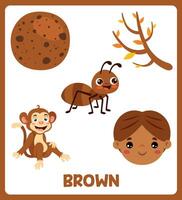 Brown Color Flash Card With Various Elements vector