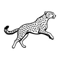 Cheetah in running in full sprint black and white illustration vector