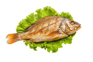 Baked Fish on Lettuce Leaf Garnish Simple and Nutritious Seafood Presentation png