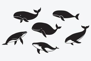 set of black whales on a white background vector