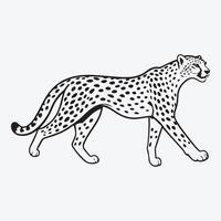 Cheetah walking, black and white illustration vector