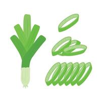 Set of fresh leek vegetable and leek slices cartoon illustration vector