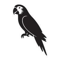 Bold black parrot bird in profile with detailed feathers, set on a clean white backdrop exotic and eye-catching vector