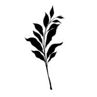 Black leaf design element vector
