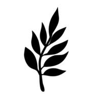 Black leaf in with background vector