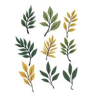 Beautiful Green Leaf Design Element set vector