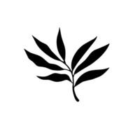 Design element of black leaf vector