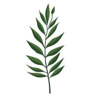 Simple leaf graphics vector