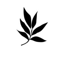 Black leaf graphic design vector