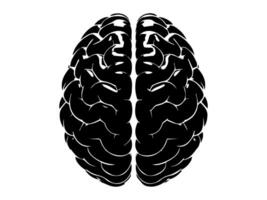 A black and white illustration of a human brain vector