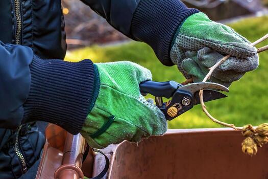 Close-up of a farmer's hand in a green work glove using a pruner. A gardener trims dead tree branches in fall and spring using pruning shears to prune trees and bushes. photo