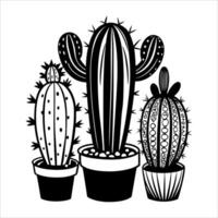 Three cactus plants in pots on a white background vector
