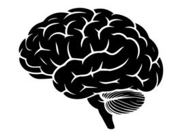 Simplified Brain Art for Cognitive Power Visuals vector