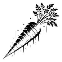 Carrot design graphics des vector