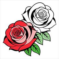 Two roses with leaves on a white background vector