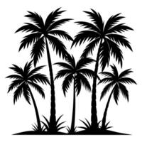 Palm trees silhouette vector