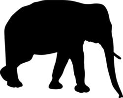 Silhouette of an Elephant Walking on white background vector