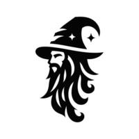 a wizard with a hat vector