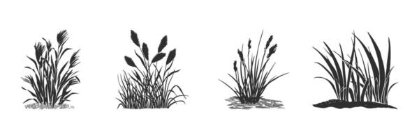 Grass And Plant Silhouettes Set. Nature And Botanical Elements For Design Isolated Illustration Collection vector
