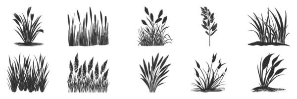 Grass And Plant Silhouettes Set. Nature Elements For Landscaping And Design Projects. Isolated Illustration Collection vector