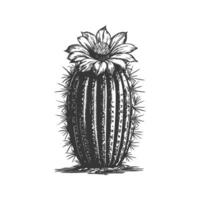 Cactus With Blooming Flower Black And White Silhouette Illustration. Symbol Of Resilience And Beauty In Harsh Environments. Isolated Illustration vector