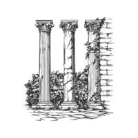 Ancient Greek Columns And Ivy Black And White Silhouette Illustration. Classical Architecture And Nature Harmony. Isolated Illustration vector