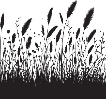 Silhouette of Grass and Wildflowers