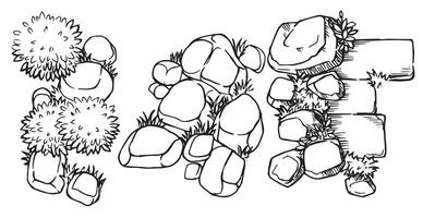 Top view stone pavement with grass and bushes, hand drawn. architectural ink drawing vector