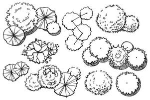 set ofcomposition trees, hand drawing, top view. architectural ink drawing vector
