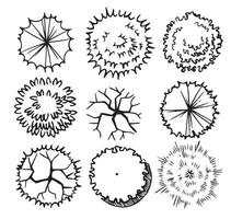 set of trees, hand drawn, top view. architectural ink drawing vector