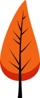 Modern bright orange autumn leaf with bold black veins and a simple shape. Perfect for seasonal decor, nature, fall, and botanical design projects. png