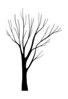 Leafless tree silhouette with bare forest branches, hand drawn decorative botany design abstract outdoor elements, natural organic shapes, trunk wood autumn or winter isolated clip art for Halloween vector