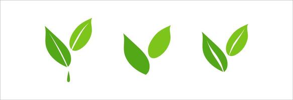 Simple flat style collection of fresh spring leaves in eco-green. Versatile ecology elements for sustainable branding, vegan projects or nature themed prints vector