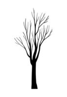 Leafless tree silhouette with bare forest branches, Tree Trunks hand drawn Drawing botany outdoor design elements, natural eco plant system, trunk wood autumn or winter isolated clip art for Halloween vector