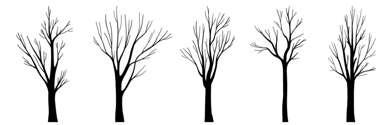 Set of realistic natural bare tree silhouette, trunk wood collection, decorative botany design elements, hand drawn plant system, autumn or winter isolated clip art for Halloween trees decorations