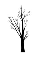 Leafless tree silhouette with bare forest branches, decorative botany design outdoor elements, depression autumn or winter isolated clip art for Halloween layout, banner, decoration Tree Trunks vector