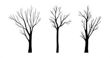 Set of realistic natural tree silhouette, Leafless Trees Trunks Drawing with Bare Branches, autumn or winter isolated hand drawn clip art, trunk wood collection for decorative botany design, Halloween vector