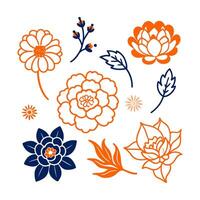 a set of flowers in orange and blue vector