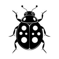 black and white ladybug silhouette on a white background vector